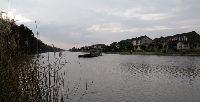 有毛不算秃含义,有毛不算秃怎么回复