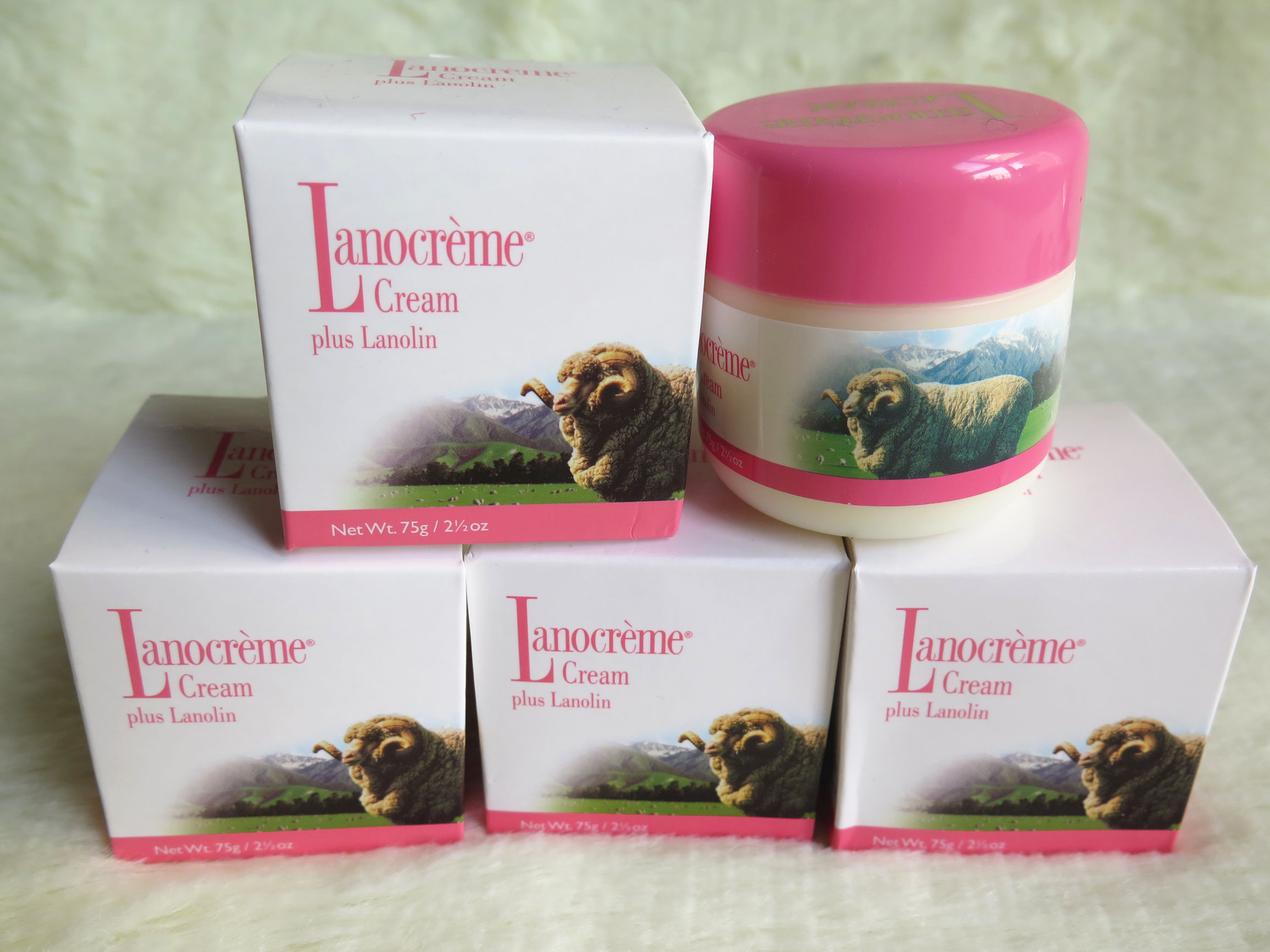 绵羊新西兰购物攻略,新西兰攻略买东西怎么买