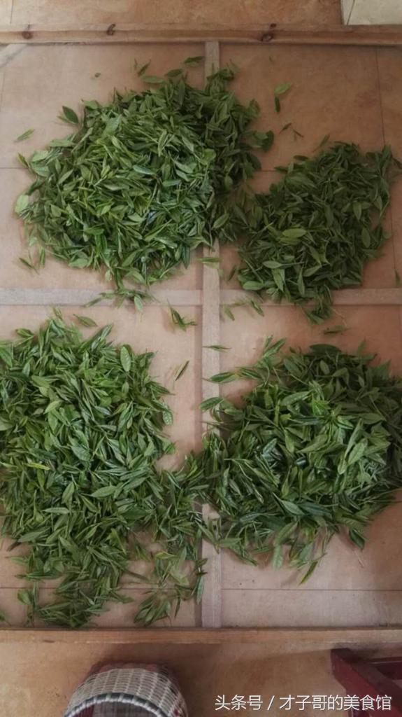 自己动手做茶的感受,自己做茶叶怎么做