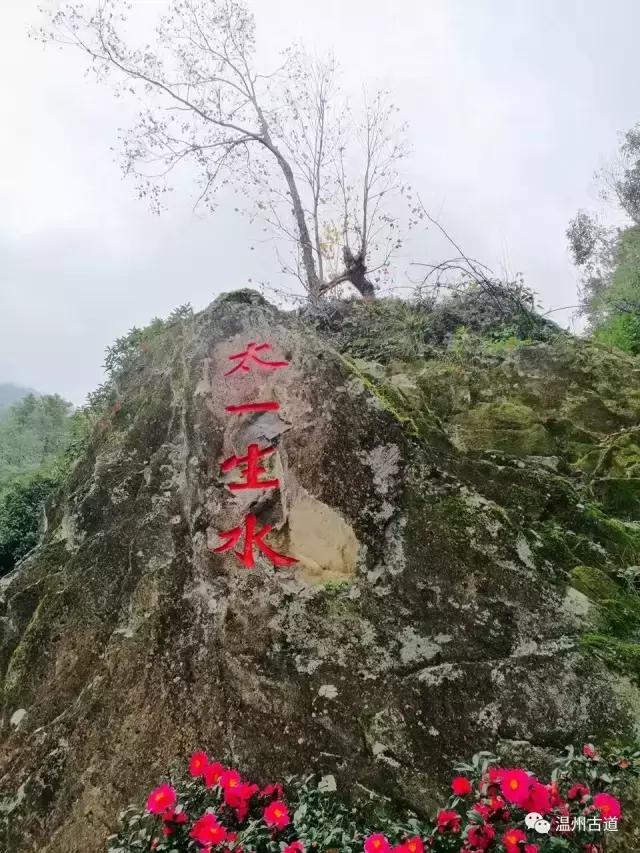 永嘉书院在永嘉什么位置,永嘉学派