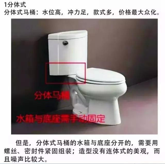 热门话题马桶,有关马桶的话题