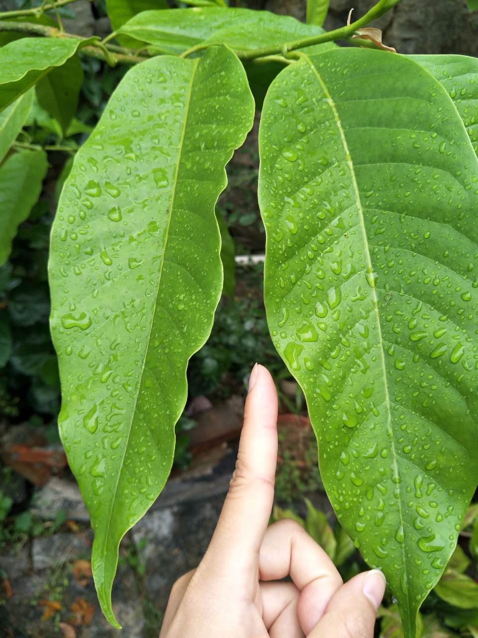 一路山水一路歌完整版,一路山水一路歌歌词