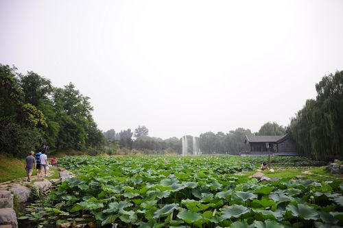 尼康70300变焦镜头,尼康z卡口变焦镜头有哪些