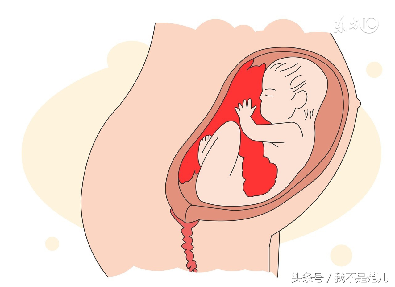 孕期各阶段表现,女人孕期脾气差