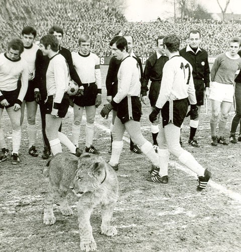 梦之队历史最黑暗的一天,11-12赛季的沙尔克04