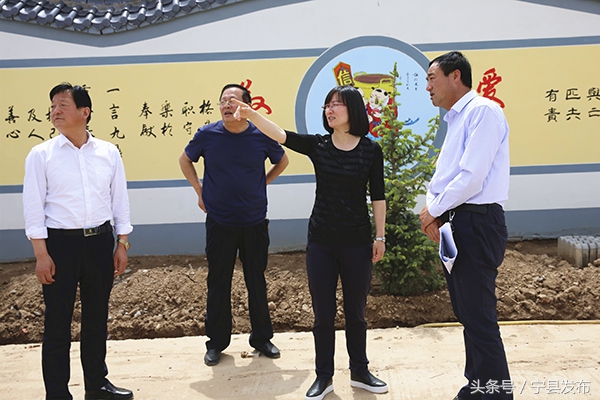 调研孟城成丰蔬菜农民专业合作社蔬菜大棚