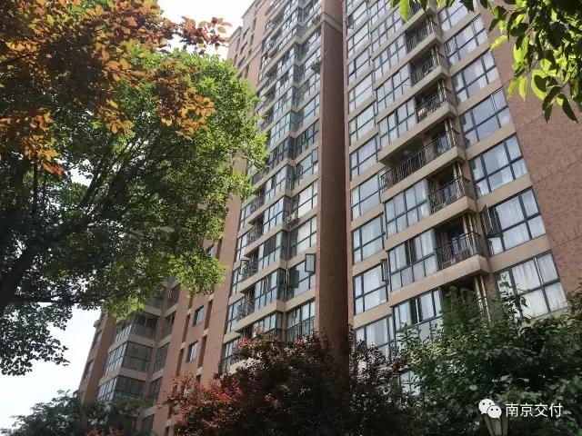 板桥小区怎么样啊,板桥比较好的新小区