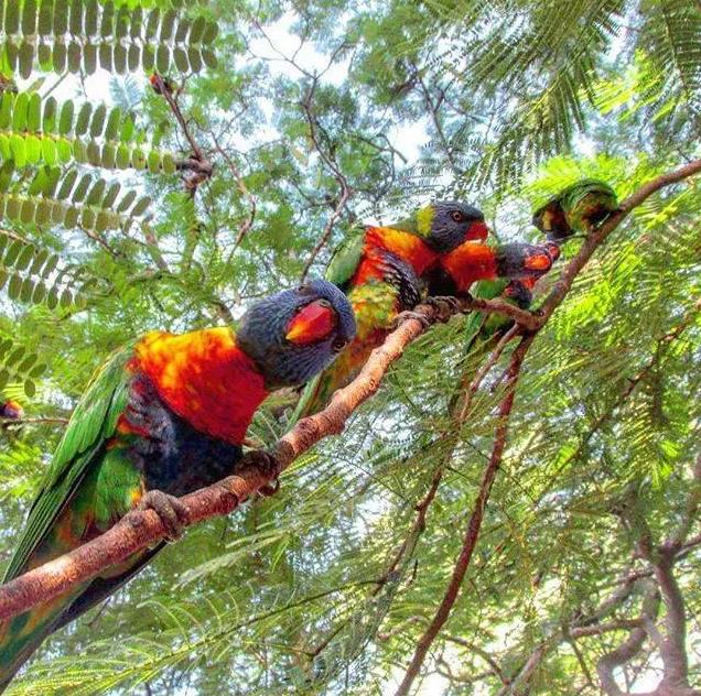 澳大利亚度假打工签证,澳大利亚签证最新政策