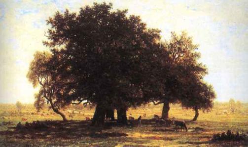 我爱你绝不像攀援的凌霄花,我喜欢你绝不像攀援的凌霄花