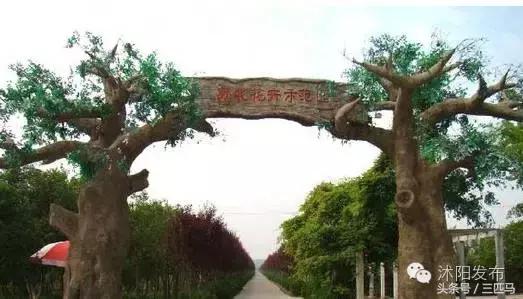 你好！我叫沭阳，这是我的简历，请多多指教！