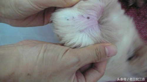 如果脏到长了这个东西，不管是城里还是农村人，都注定讨不到老婆