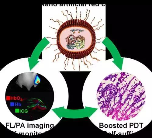 癌症早期治疗器械,最新治疗癌症的方法