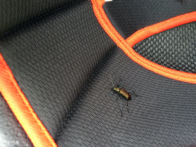 宗申比亚乔幸福款,宗申比亚乔09款