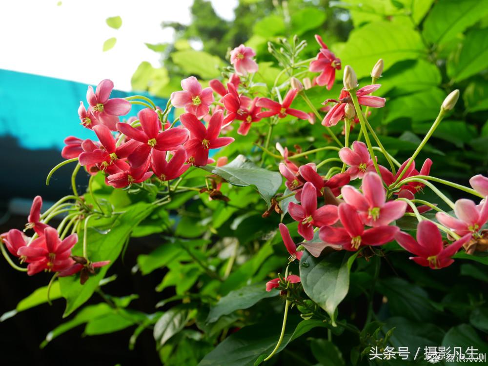 松下gf9值得入手吗,评价松下gf9拍摄视频4k效果