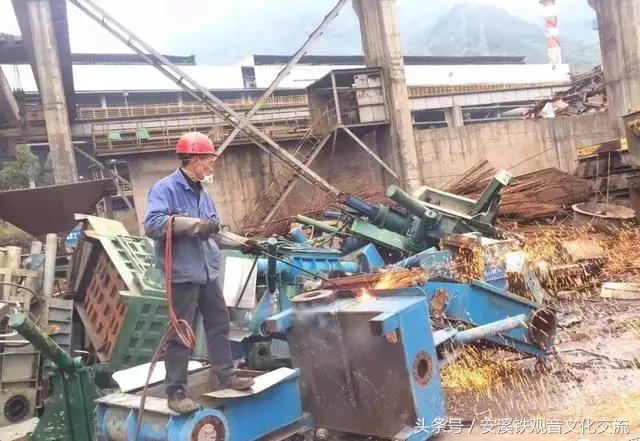 铁观音现在怎么样了,铁观音现状