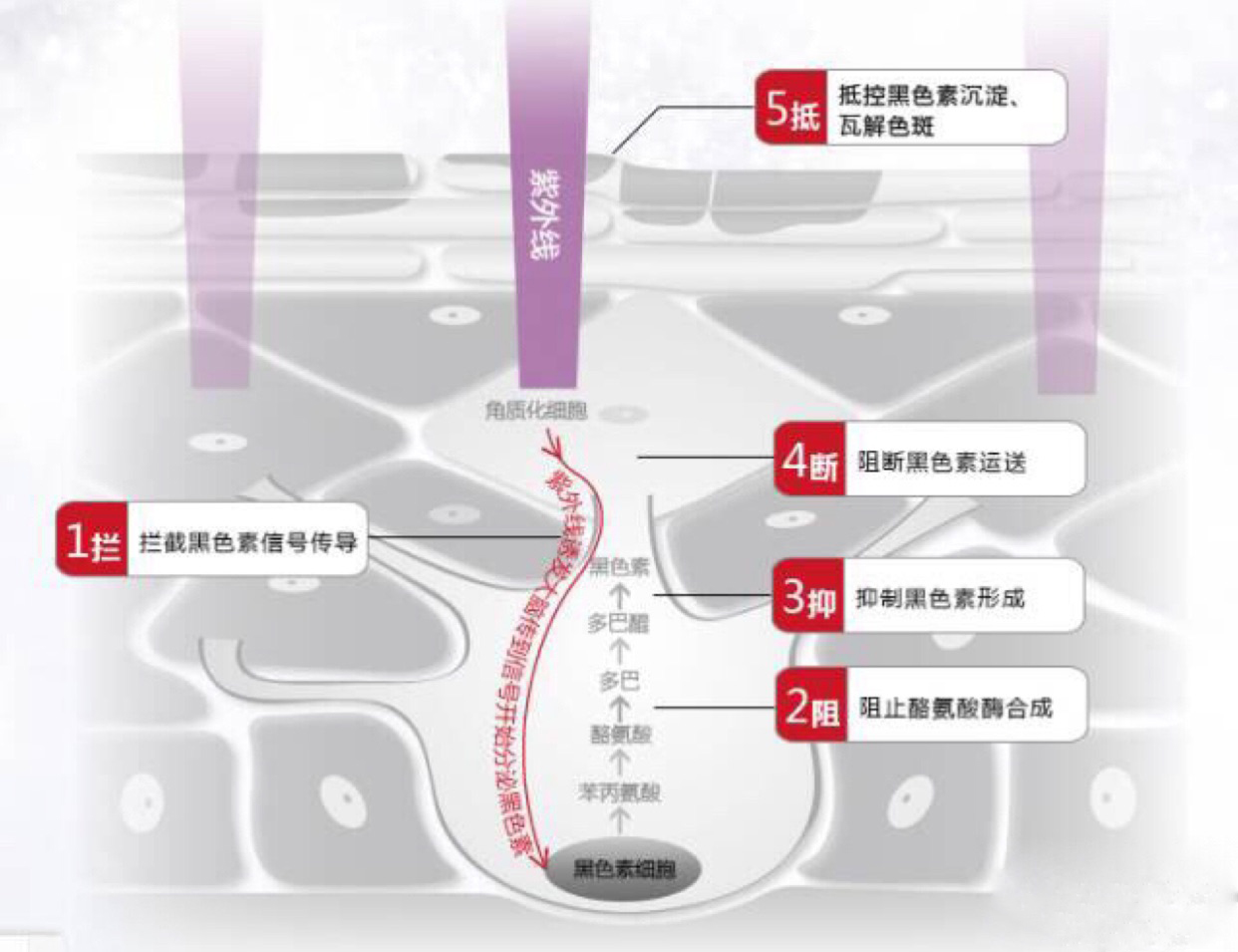 女人长斑肤质差教你一招轻松淡斑,刘艳青美白淡斑