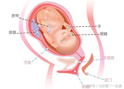 怀孕初期的各种反应，哎哟！当妈妈真不容易，还要生二胎！