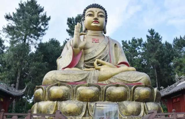 成都周边免费森林自然景点,成都森林避暑好去处