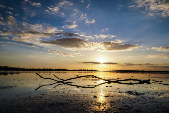 澳洲｜有人在澳大利亚住了一辈子，也没有听说过这样的生活方式