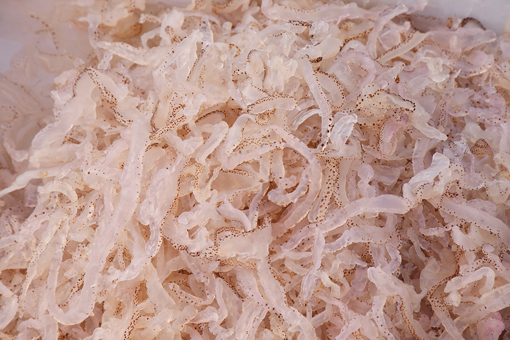 经典海鲜摄影图片,鲜活海鲜摄影技巧