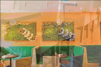 石炮台果汁冰照片,石炮台果汁冰为什么这么贵