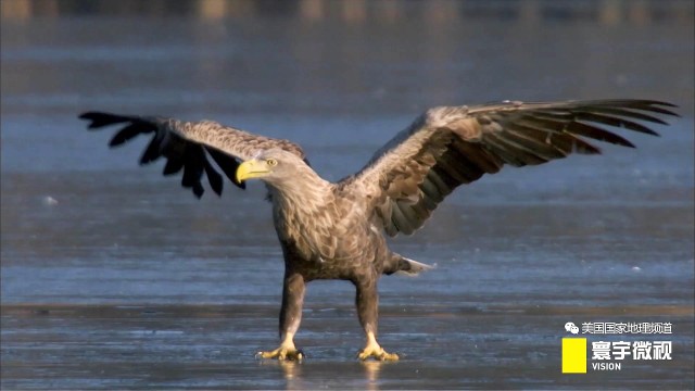 瀵板畤寰瑙ｆ瀽,瀵板畤寰