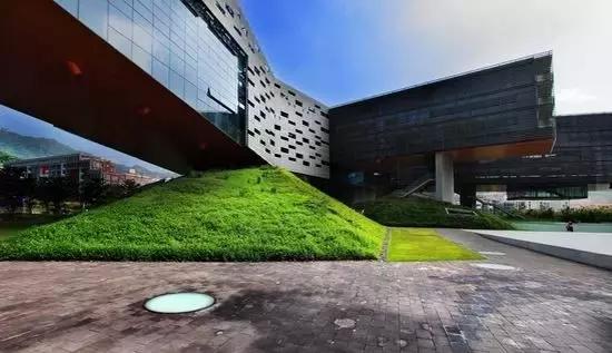 雇主价值与组织氛围研究课题：植物造景如何提升办公室生产力？