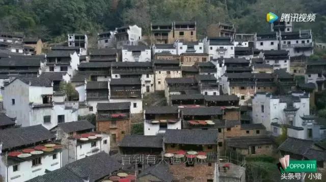 关关谢童打卡篁岭,关关和谢童去婺源是哪一集