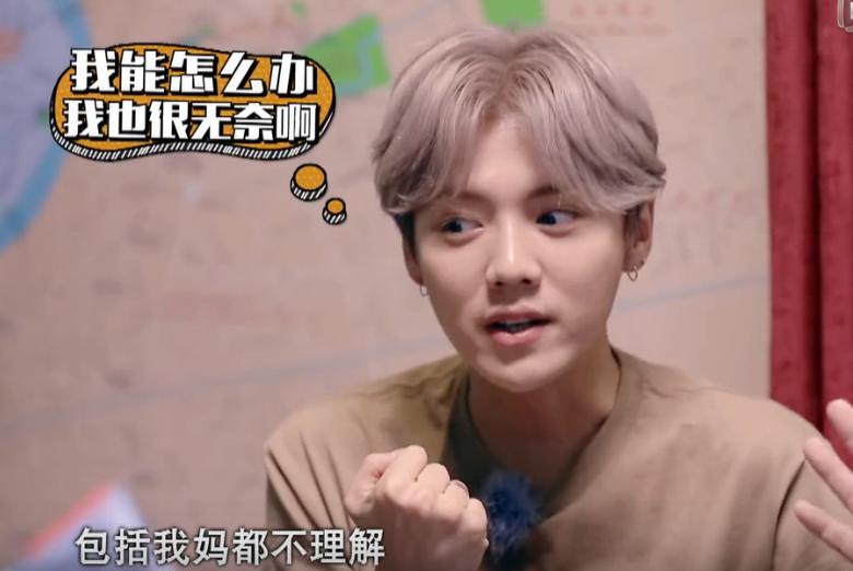 李晨鹿晗应采儿什么综艺节目,鹿晗跟应采儿综艺叫什么名字