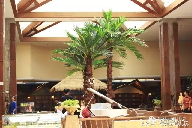 性价比高的亲子酒店推荐,性价比高又好住的酒店