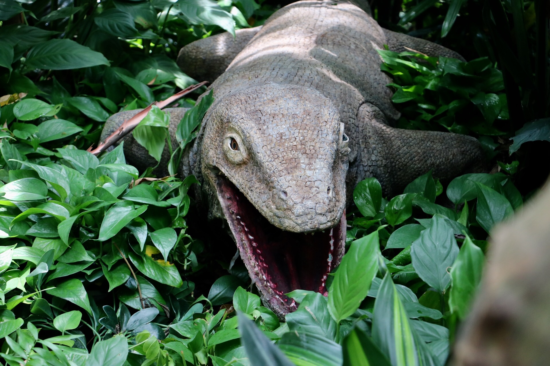 一月广州长隆野生动物园游玩攻略,长隆海洋王国不可错过