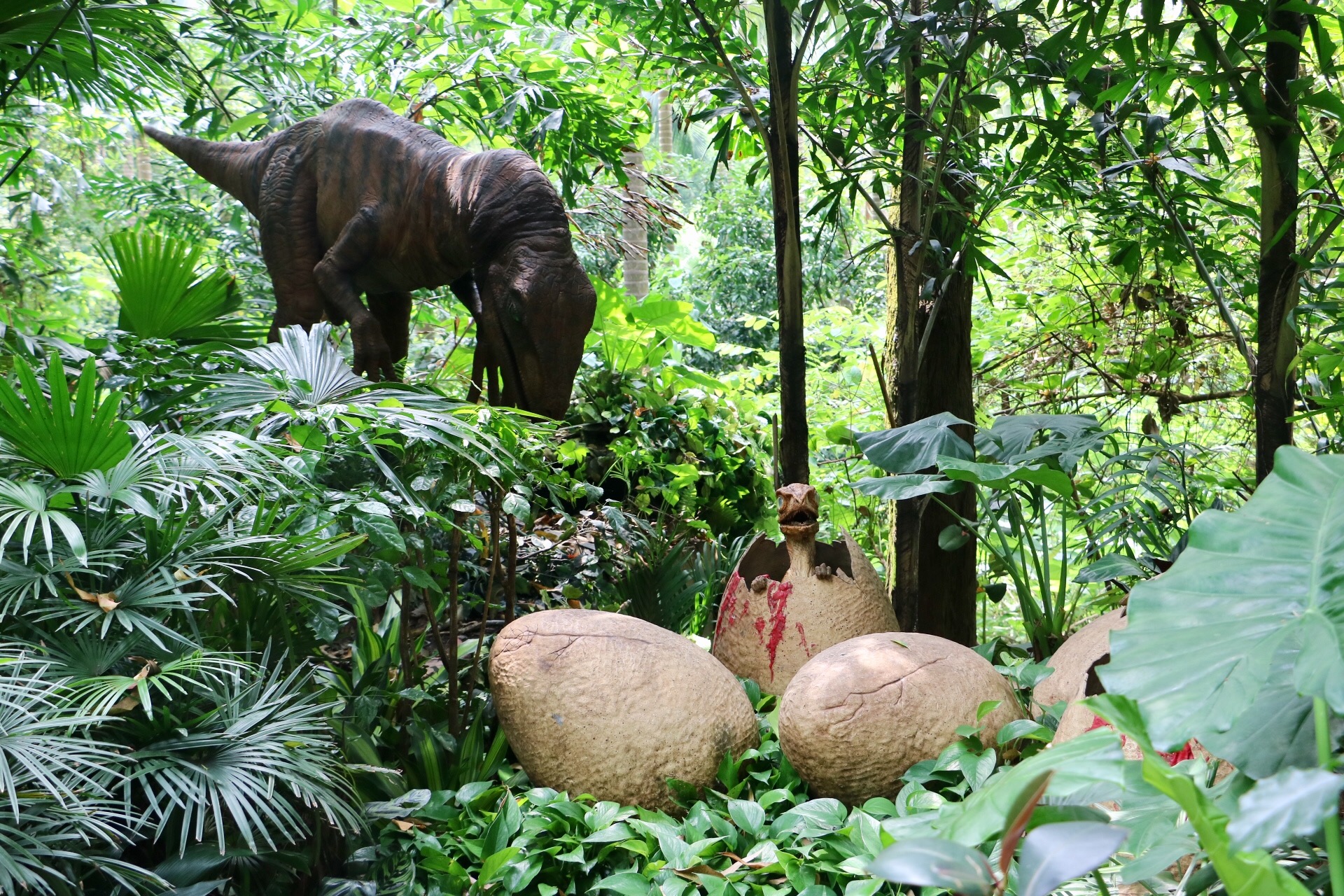 一月广州长隆野生动物园游玩攻略,长隆海洋王国不可错过