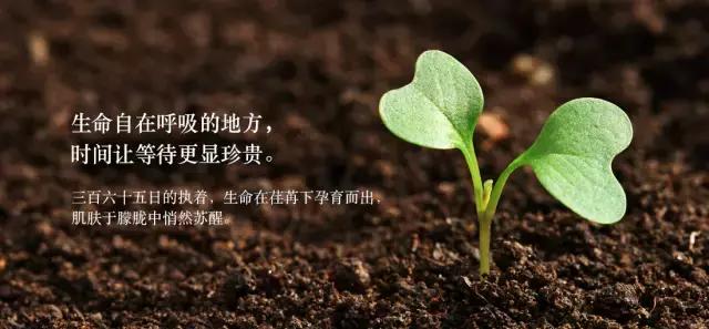 孕妇妈妈为什么要买吸奶器,哺乳期妈妈为什么不能侧睡