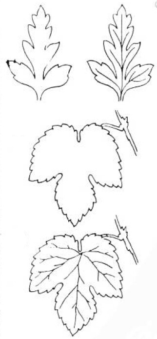 绘画基础教程新手入门,绘画基础教程人物小狗
