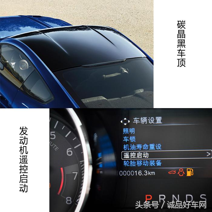 没有奔跑在草原的野马，成了男人心口的朱砂痣