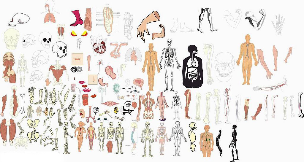 龙珠里的万能胶囊,龙珠超未来万能胶囊