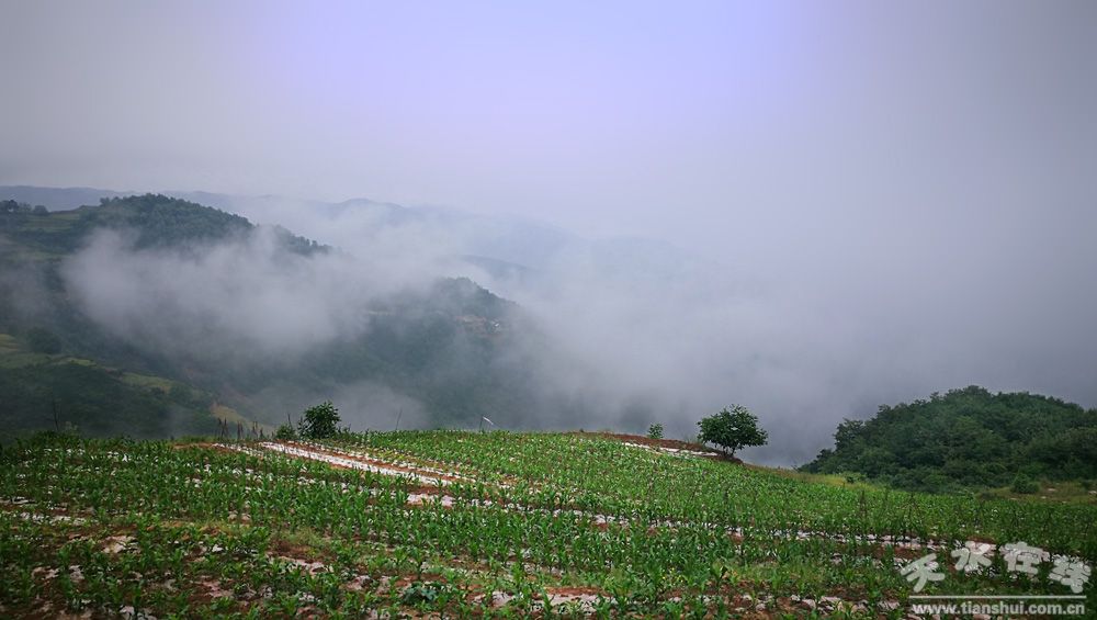 天水乡村田园风景图,天水农村自然美景