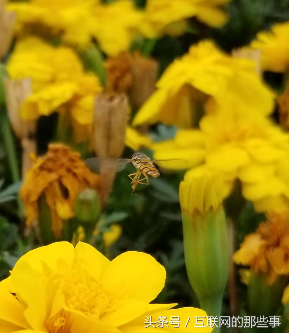 王者荣耀五杀神器,王者荣耀神器传说系列