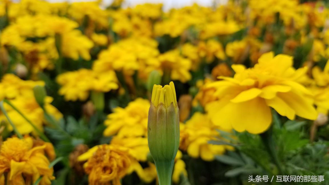 王者荣耀五杀神器,王者荣耀神器传说系列