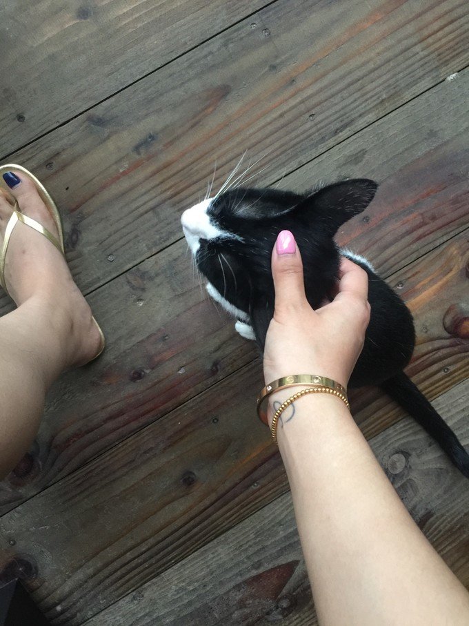 带着思念去海边,带着思念期待下一次再见