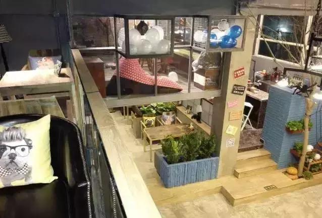 活得不如狗系列之，宠物酒店！