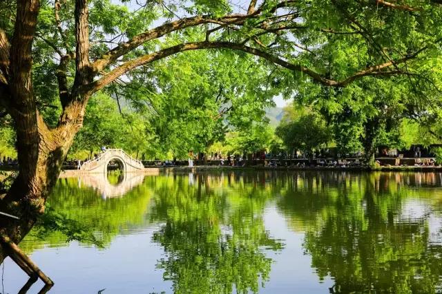 初夏阳光下太平湖沐心酒店风景,太平湖旅游攻略酒店