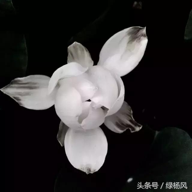 五一扬州瘦西湖风景区门票价格,2022年扬州瘦西湖门票多少钱