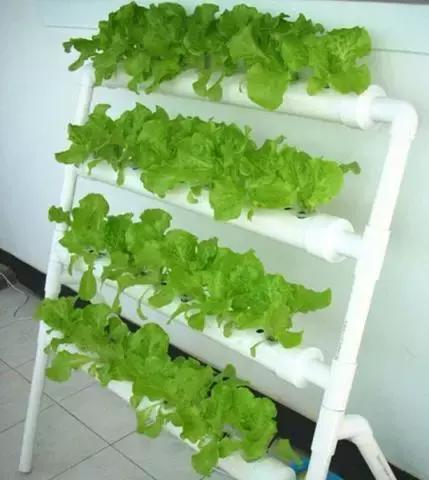 pvc管阳台无土种菜全图解,用pvc管阳台种菜安全吗