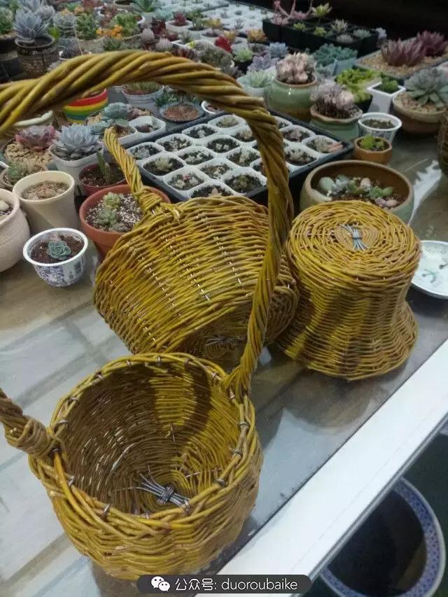 用多肉做花的方法,多肉植物自制方法