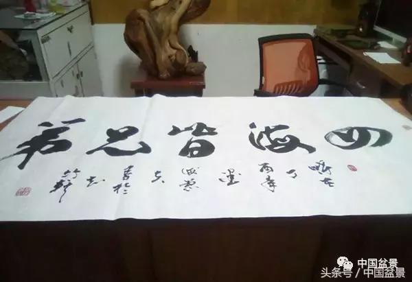 盆景悬根露爪美不胜收