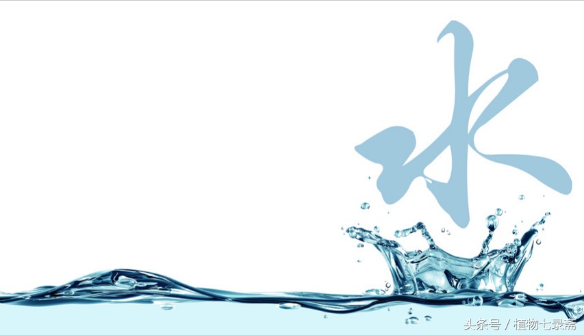 怎么知道浇花水浇够了,浇花怎样知道浇透了没有