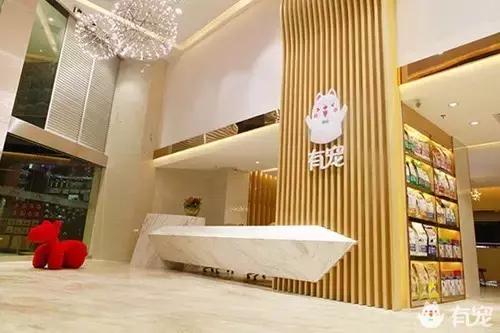 活得不如狗系列之，宠物酒店！