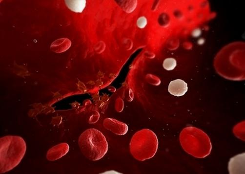 血友病，这些常见问题急需解决办法！