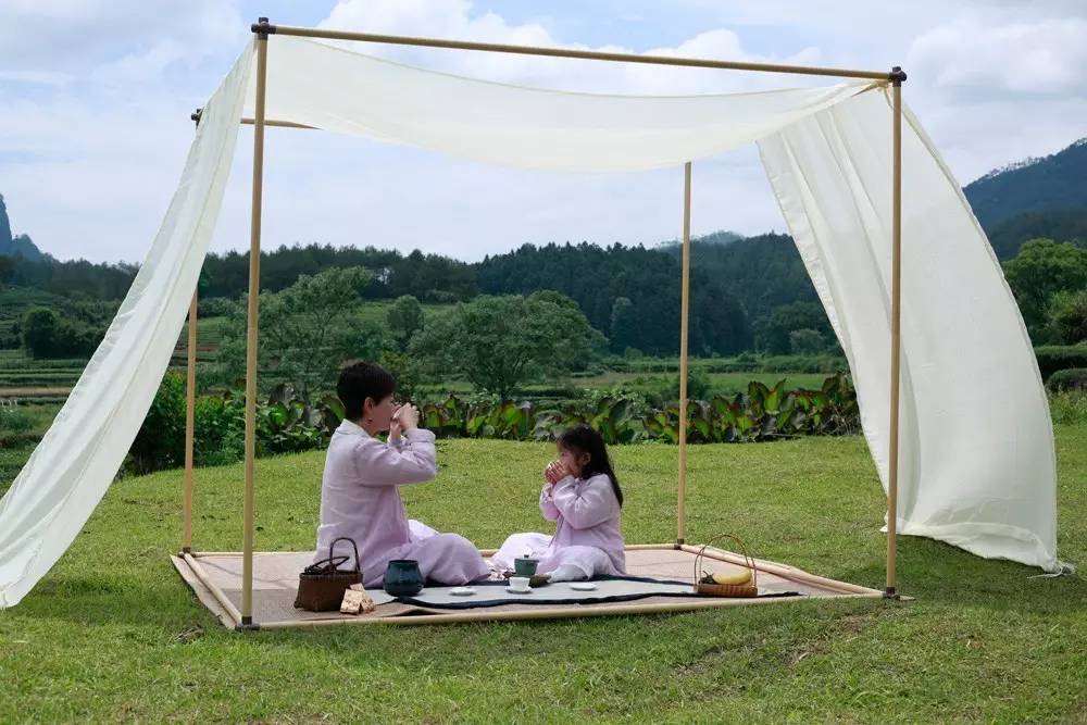 真正的金骏眉是什么样子的,金骏眉究竟什么样子的